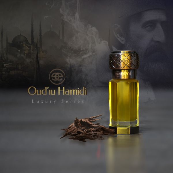 Efzal Oud'u Hamidi