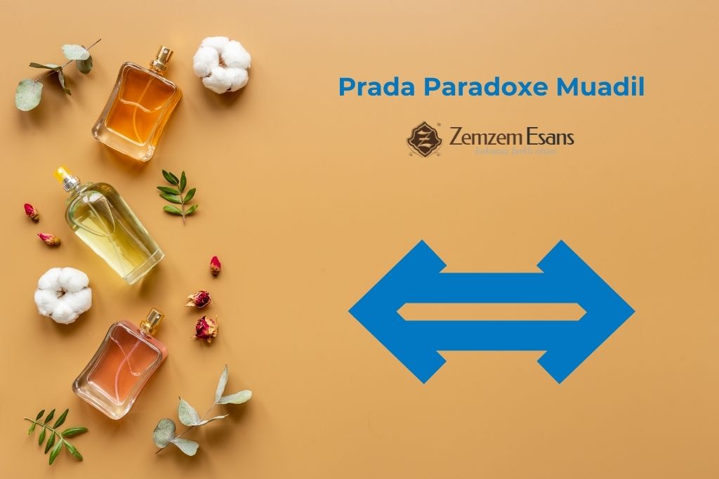 Prada Paradoxe Muadil