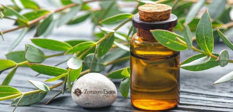 Okaliptus Yağı Burun Tıkanıklığı